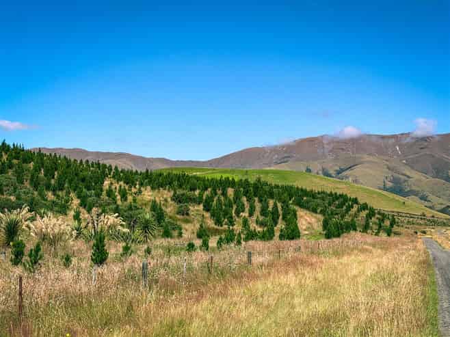  475 Elders Road, Maungati