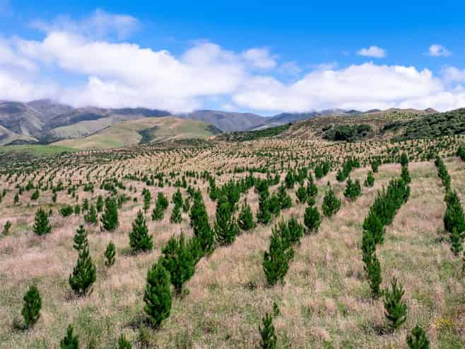  475 Elders Road, Maungati
