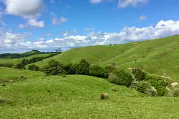 Lot 1 Wharehine Road, Wellsford