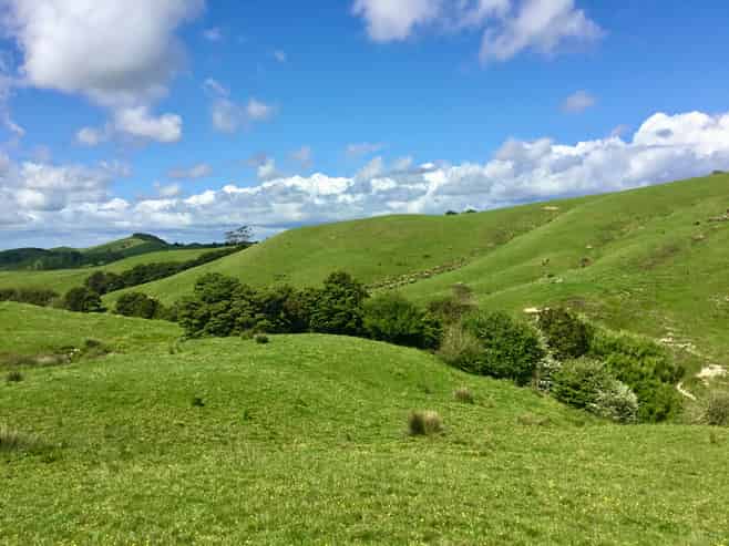 Lot 1 Wharehine Road, Wellsford