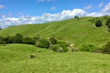 Lot 1 Wharehine Road, Wellsford