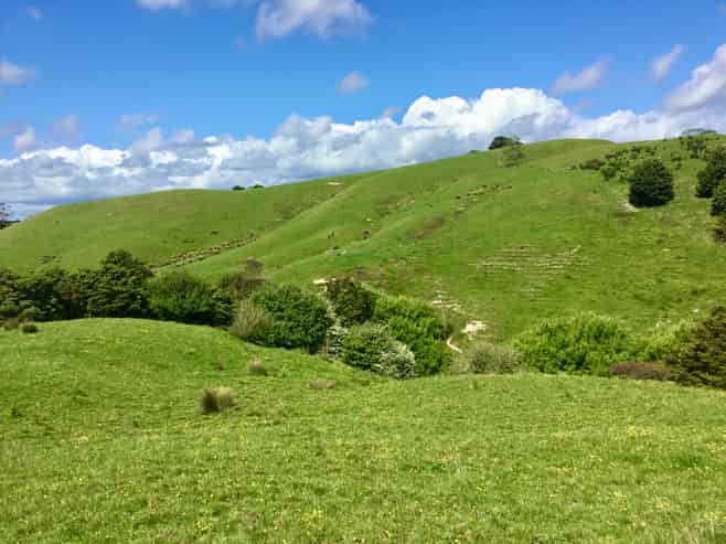 Lot 1 Wharehine Road, Wellsford