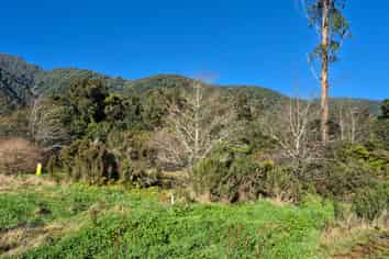  State Highway, Franz Josef Glacier