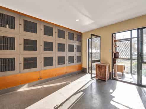 Kennels, Cattery and more...