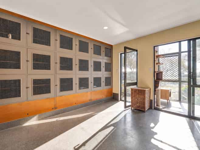 Kennels, Cattery and more...