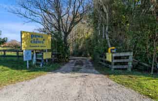 Kennels, Cattery and more...