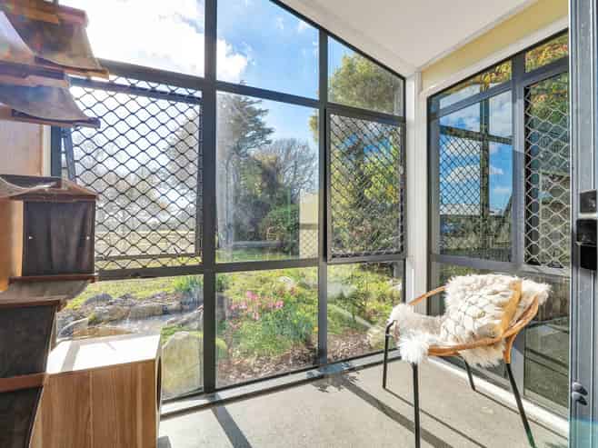 Kennels, Cattery and more...