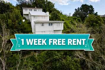146 Champion St, Cannons Creek