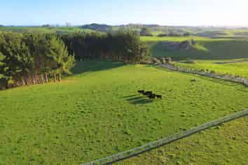 11C Jones Road, Putaruru