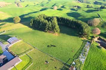 11C Jones Road, Putaruru
