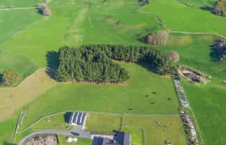 11C Jones Road, Putaruru