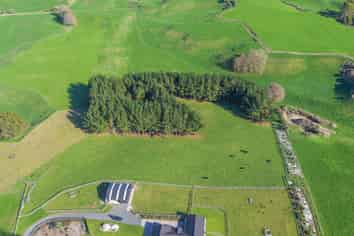 11C Jones Road, Putaruru