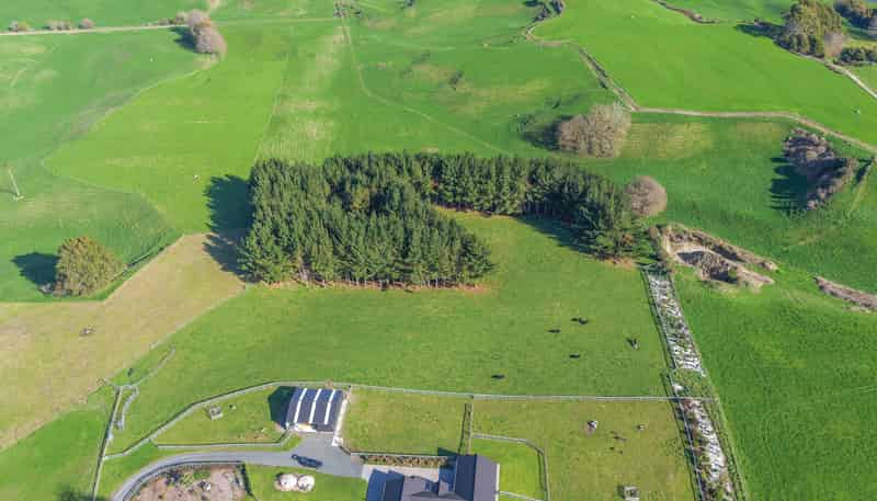 11C Jones Road, Putaruru