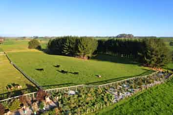 11C Jones Road, Putaruru