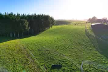 11C Jones Road, Putaruru