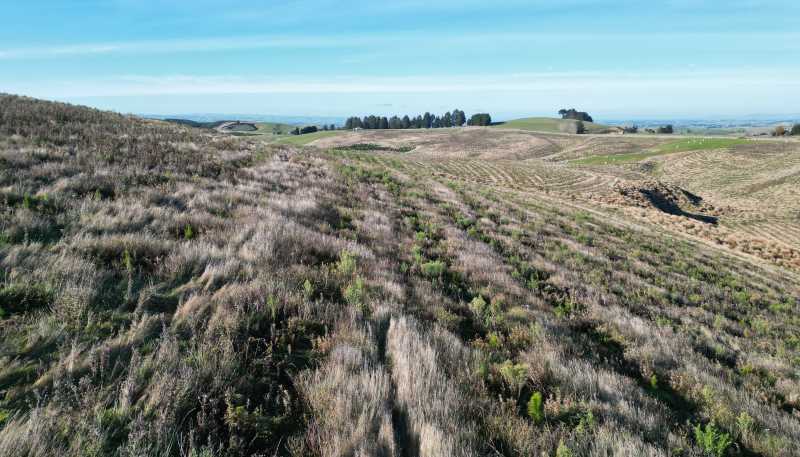 Lot 2, 339 Rankleburn Road, Rankleburn
