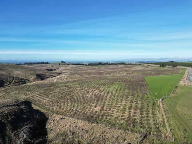 Lot 2, 339 Rankleburn Road, Rankleburn