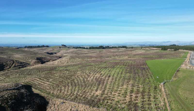 Lot 2, 339 Rankleburn Road, Rankleburn