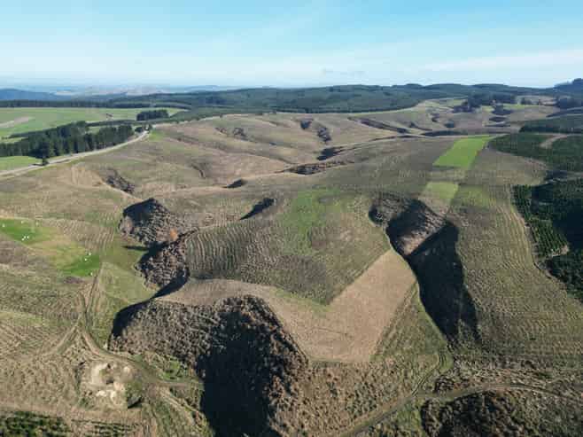 Lot 2, 339 Rankleburn Road, Rankleburn