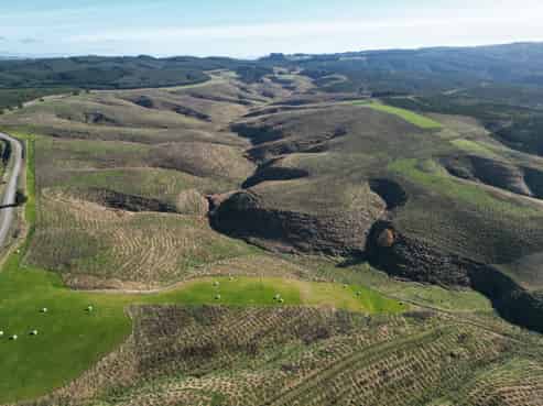 Lot 2, 339 Rankleburn Road, Rankleburn