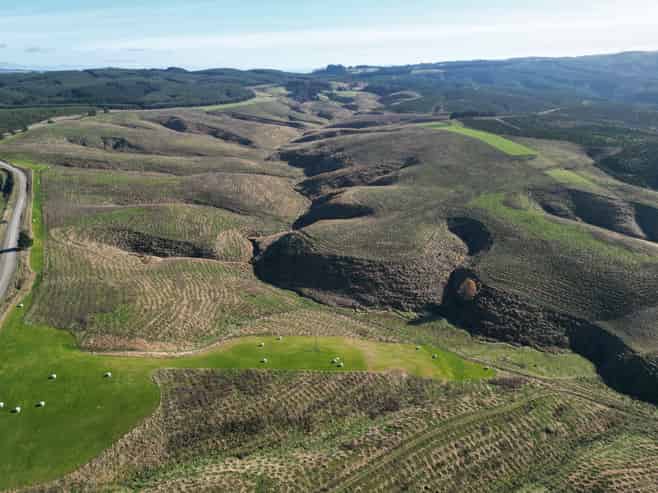 Lot 2, 339 Rankleburn Road, Rankleburn