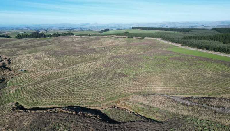 Lot 2, 339 Rankleburn Road, Rankleburn