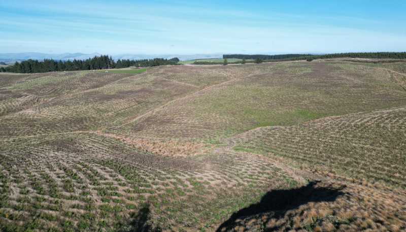 Lot 2, 339 Rankleburn Road, Rankleburn