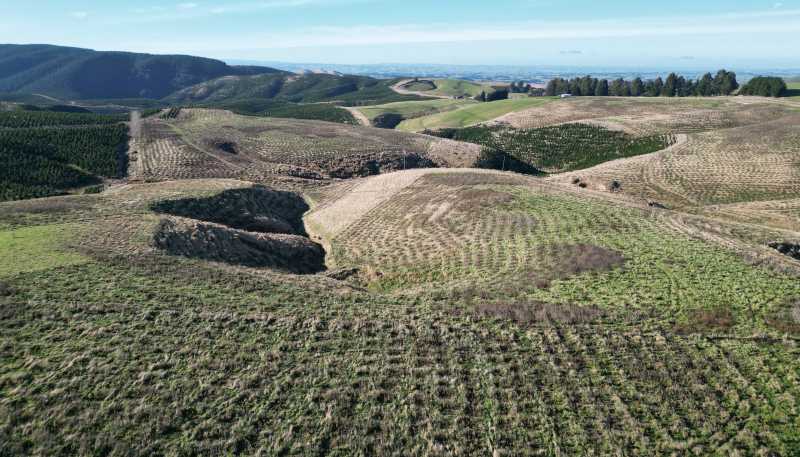 Lot 2, 339 Rankleburn Road, Rankleburn