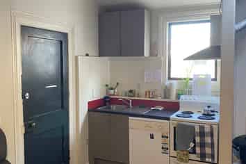 144 Albany Street, North Dunedin