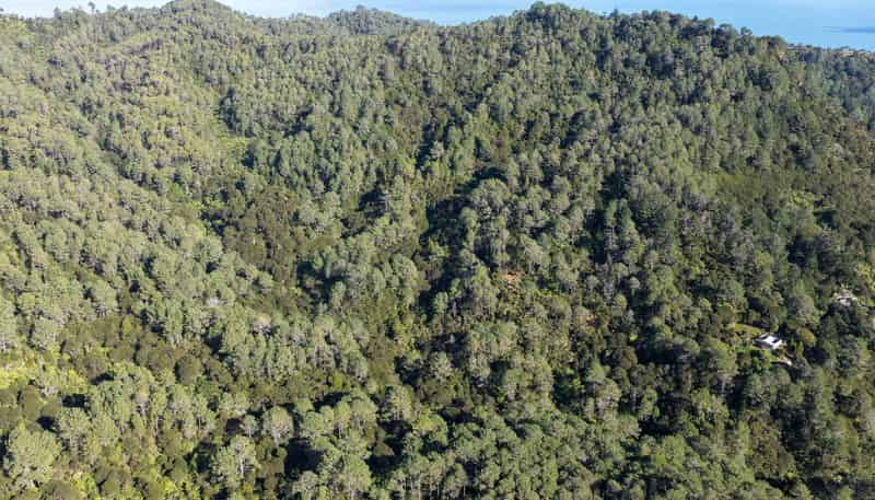 1 Tapu Heights Rise, Tapu