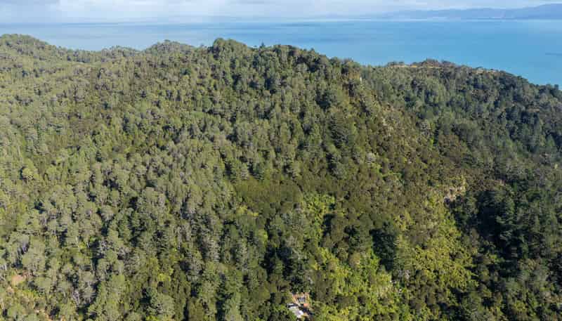 1 Tapu Heights Rise, Tapu