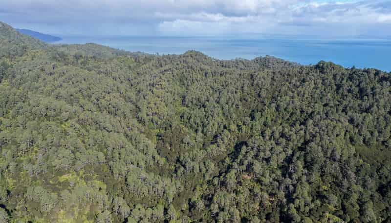 1 Tapu Heights Rise, Tapu