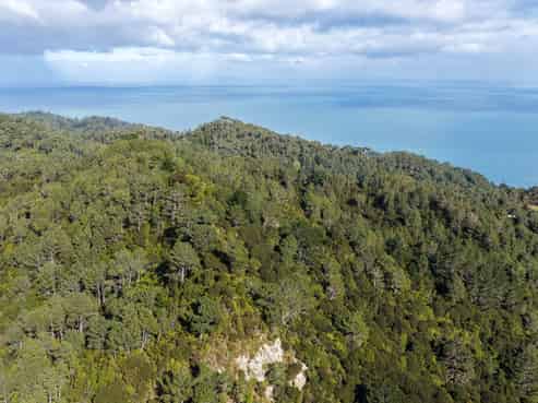 1 Tapu Heights Rise, Tapu