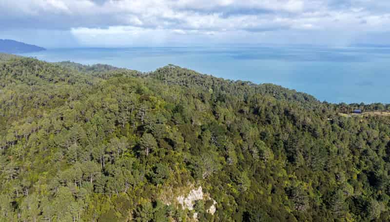 1 Tapu Heights Rise, Tapu