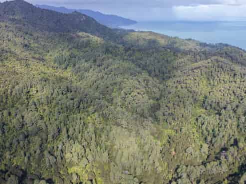 1 Tapu Heights Rise, Tapu