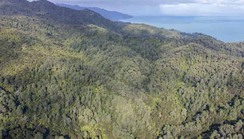 1 Tapu Heights Rise, Tapu