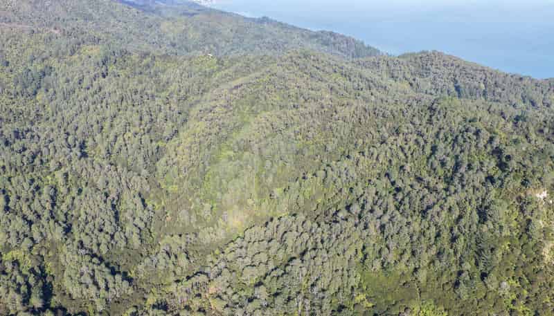 1 Tapu Heights Rise, Tapu