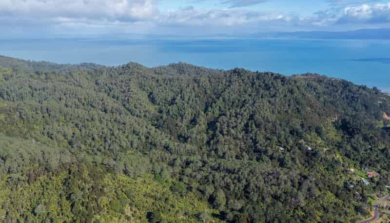 1 Tapu Heights Rise, Tapu