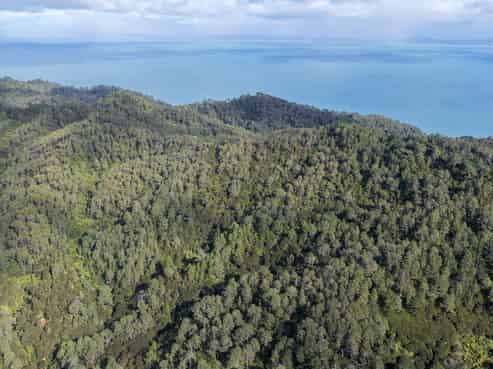 1 Tapu Heights Rise, Tapu