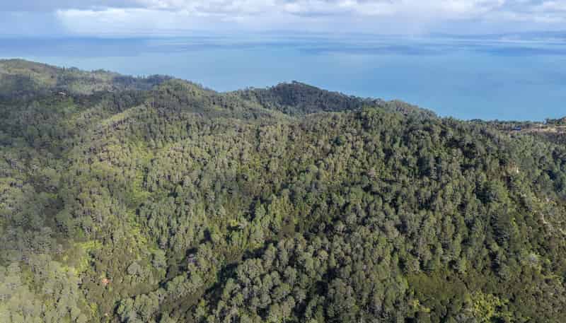 1 Tapu Heights Rise, Tapu