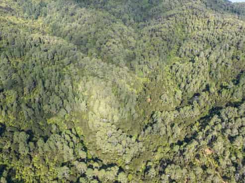 1 Tapu Heights Rise, Tapu