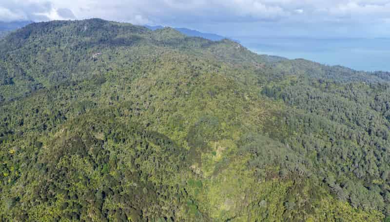 1 Tapu Heights Rise, Tapu