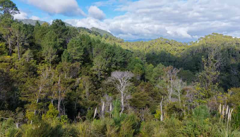 1 Tapu Heights Rise, Tapu