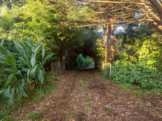 12 Glendining Road, Mohaka