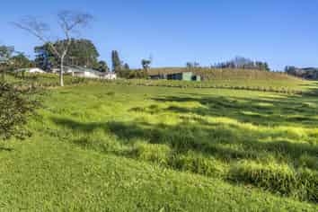 60 Saxton Road, Upper Vogeltown