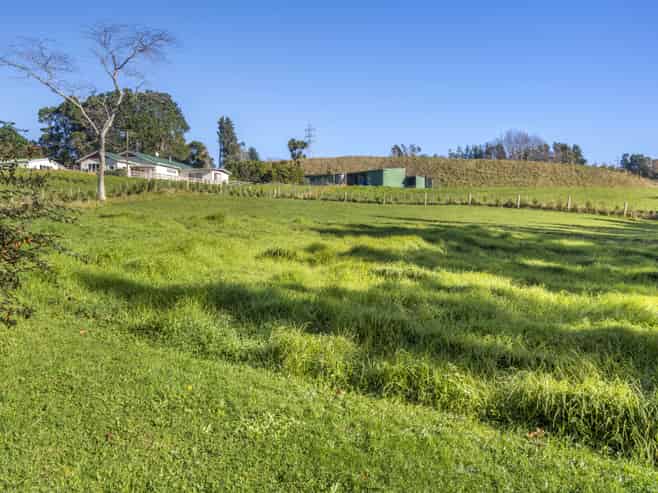 60 Saxton Road, Upper Vogeltown