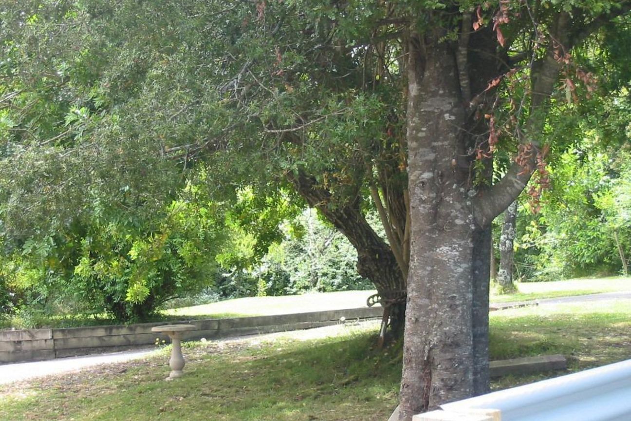 Peaceful Lifestyle Living with Pool, Studio & Grazing Land - Więcej