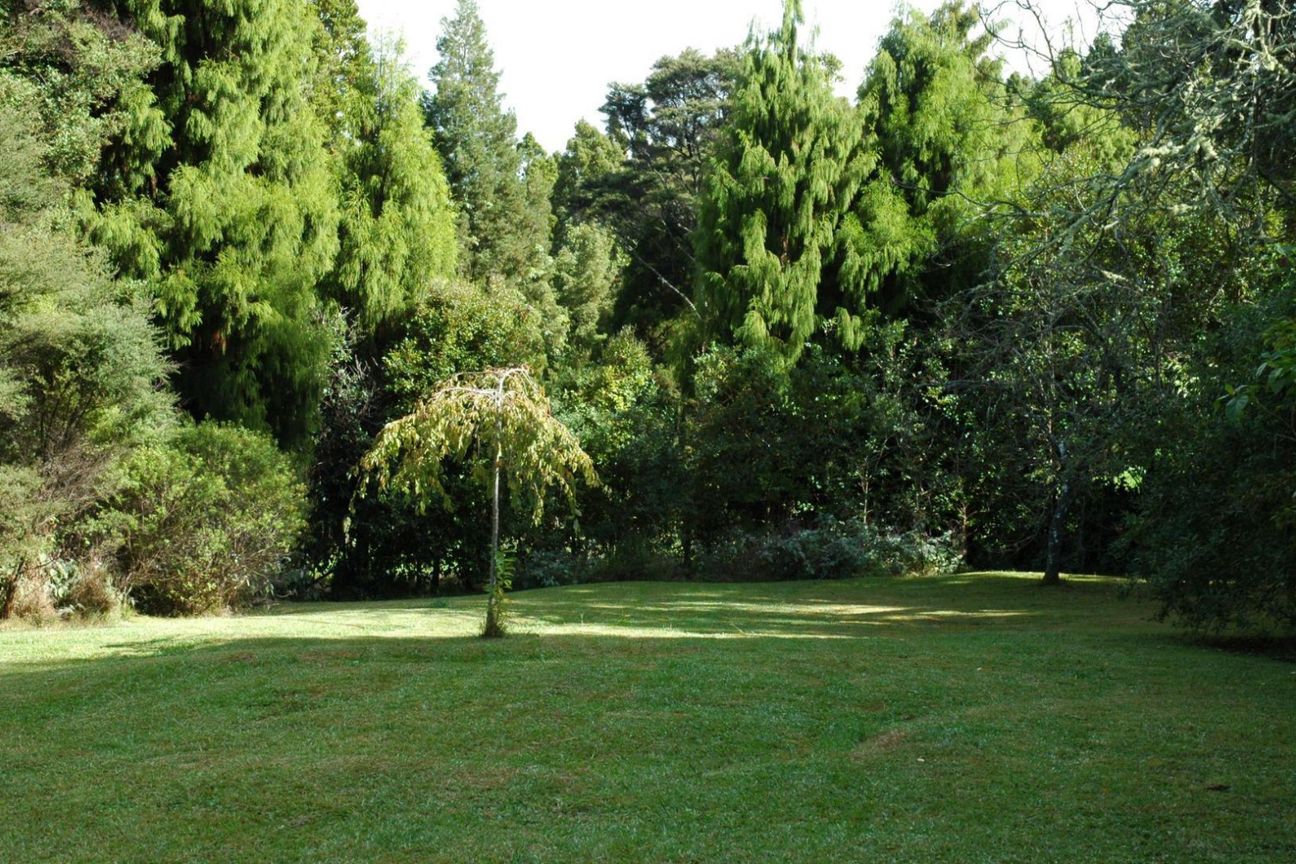 Peaceful Lifestyle Living with Pool, Studio & Grazing Land - Widok 6