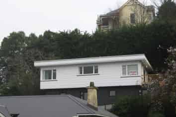 161 Queen Street, North Dunedin