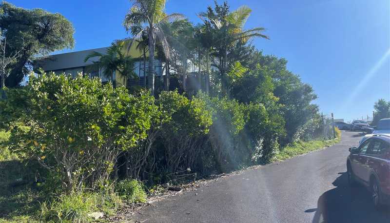  46 - 48 View Road, Wairau Valley